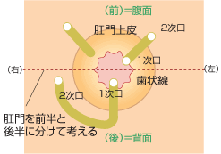 管の走行についての法則