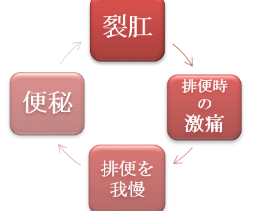 裂肛が悪化すると排便が怖くなり、便秘がひどくなることも…